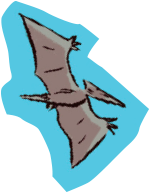 Pterodactyl illustration