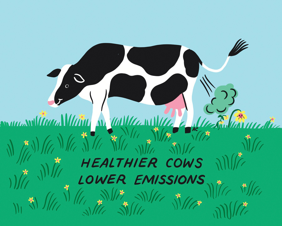Cartoon drawing of a smiling cow in a green pasture, with a poof of gas coming out of its rear end. The drawing is labeled “Healthier cows, lower emissions”