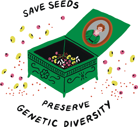 Drawing of a green box with seeds inside. The drawing is labeled “Save seeds, preserve genetic diversity”