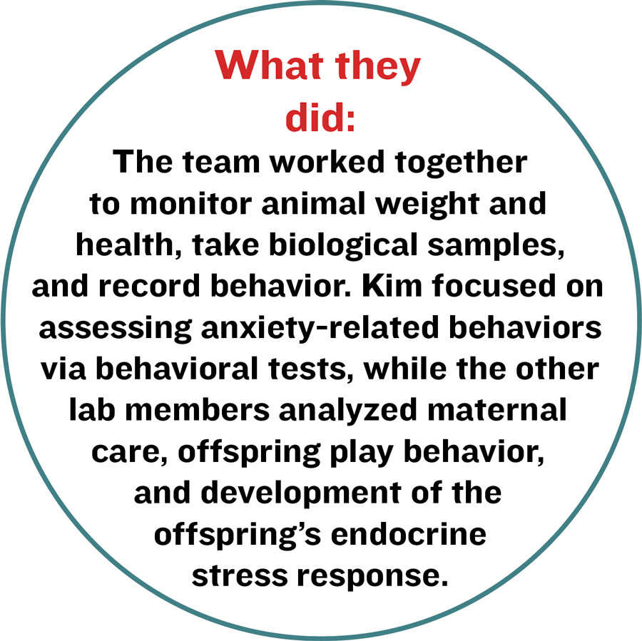 What they did: The team worked together to monitor animal weight and health, take biological samples, and record behavior. Kim focused on assessing anxiety-related behaviors via behavioral tests, while the other lab members analyzed maternal care, offspring play behavior, and development of the offspring’s endocrine stress response.
