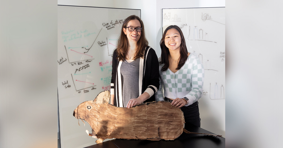 Carolyn Bauer and Daniela Kim smiling in a science lab, holding a large cutout of a degu. In the background are graphs drawn on a whiteboard.