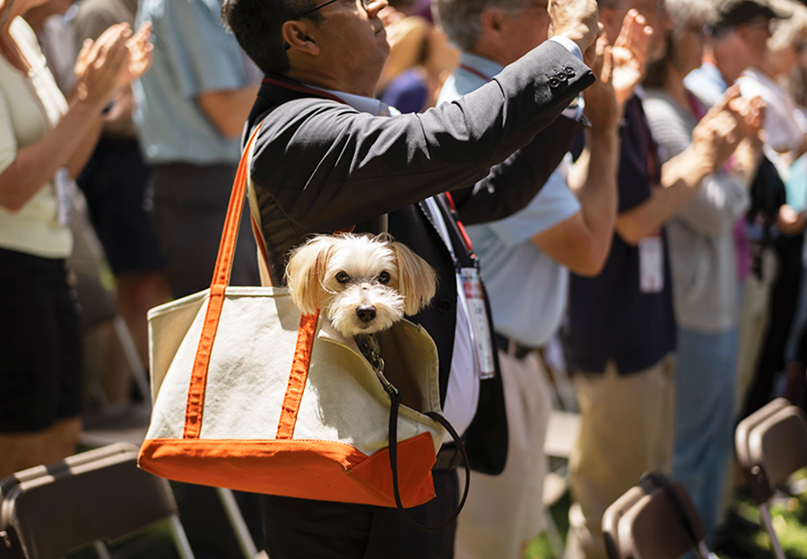 Several people stand and clap. One, a man in the foreground, carries a small dog in a handbag.