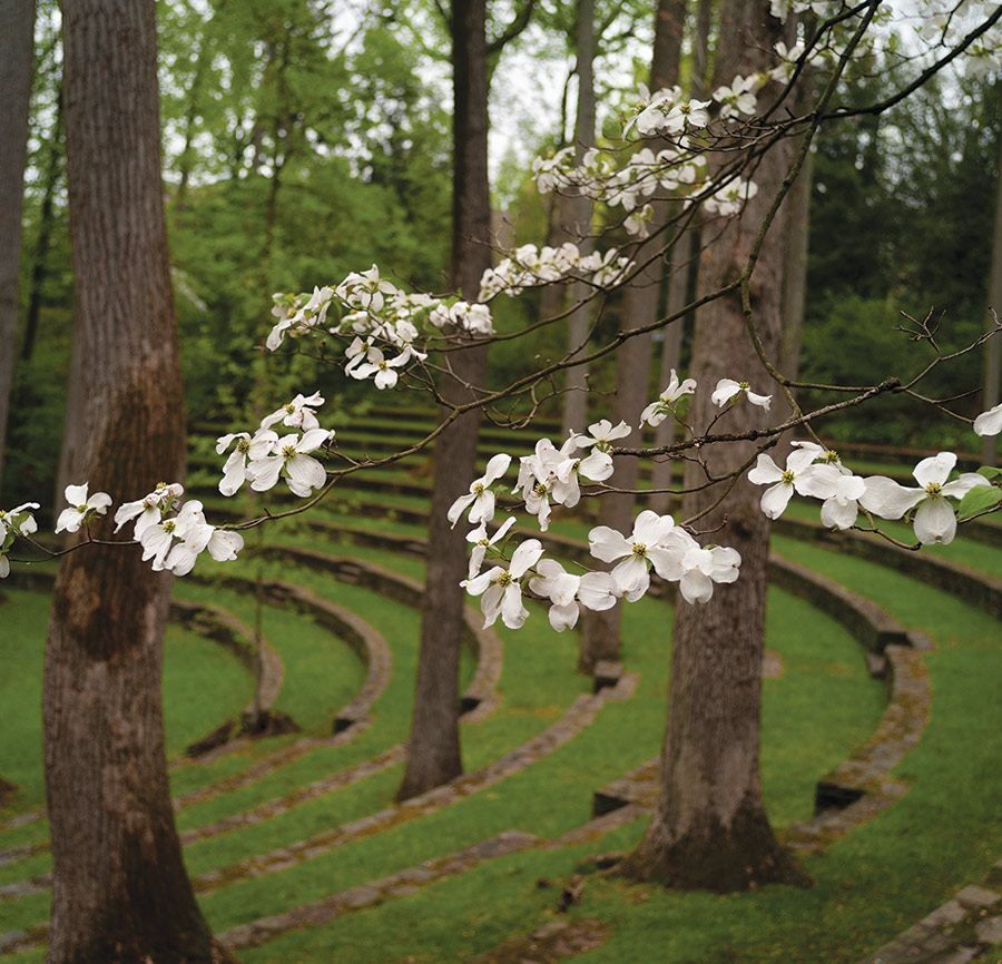 Picture of the Scott Outdoor Amphitheater with white flowers