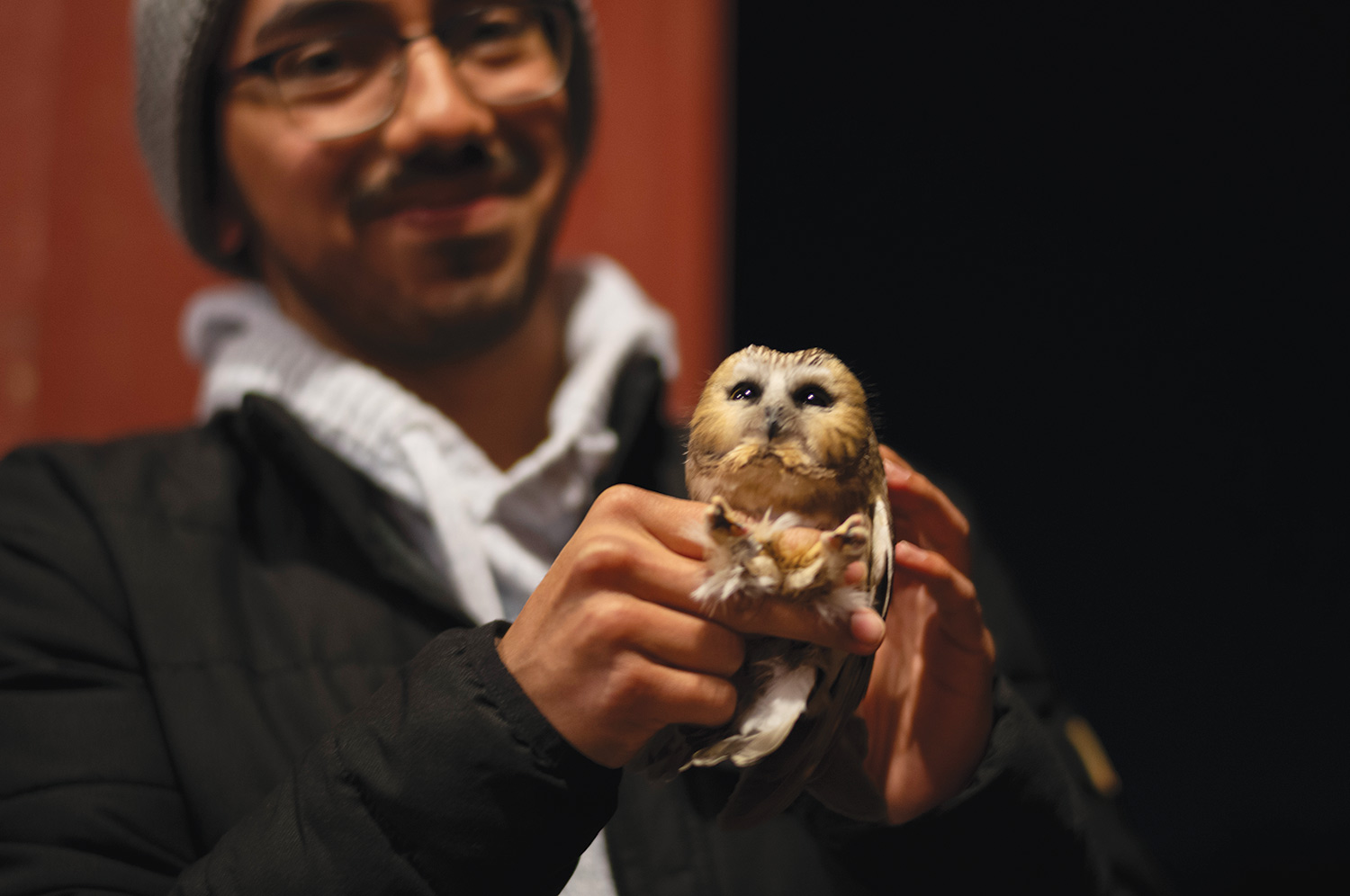 Richard Garcia '24 holds a tiny brown owl with large black eyes.