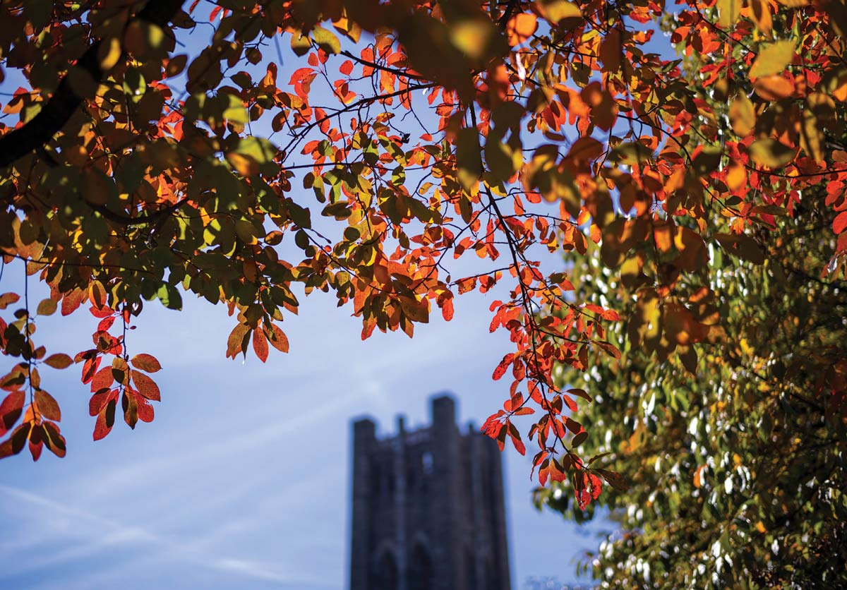 Photo of Clothier Bell Tower, shot through fall foliage.