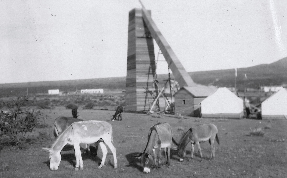 Yerbaniz, Mexico, 1923. Donkeys graze in the foreground. In the background stands the 65-foot-camera that a Swarthmore expedition built to observe the September 10 eclipse.