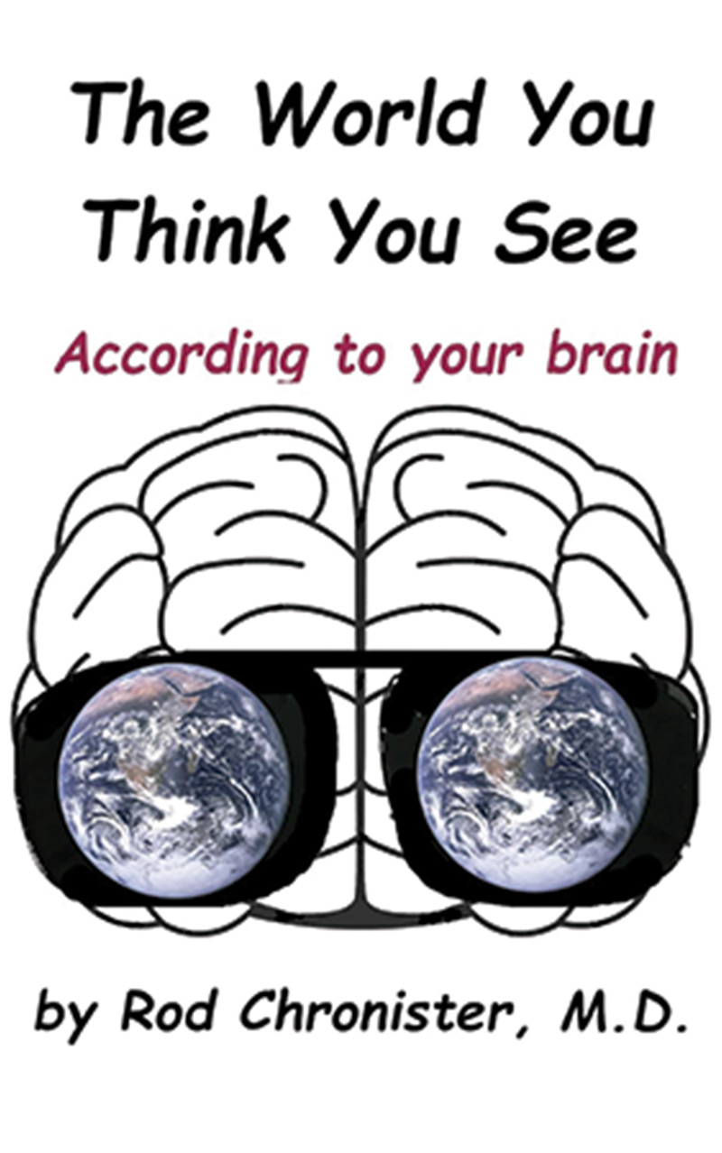 The World You Think You See cover features an illustration of a brain wearing sunglasses, and in each lens is Earth as seen from space.