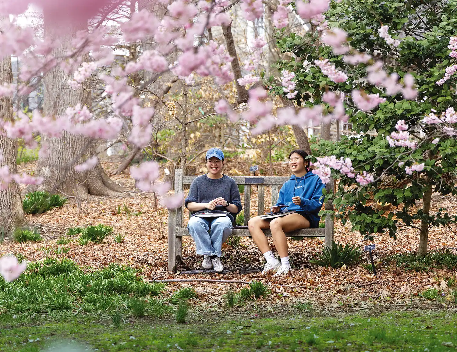 Students sit and smile on a bench framed by cherry blossoms.