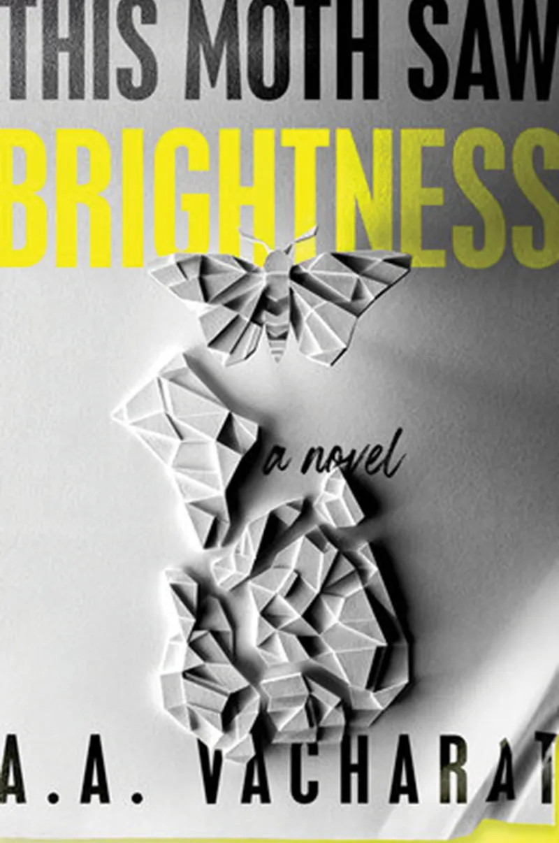 This Moth Saw Brightness book cover