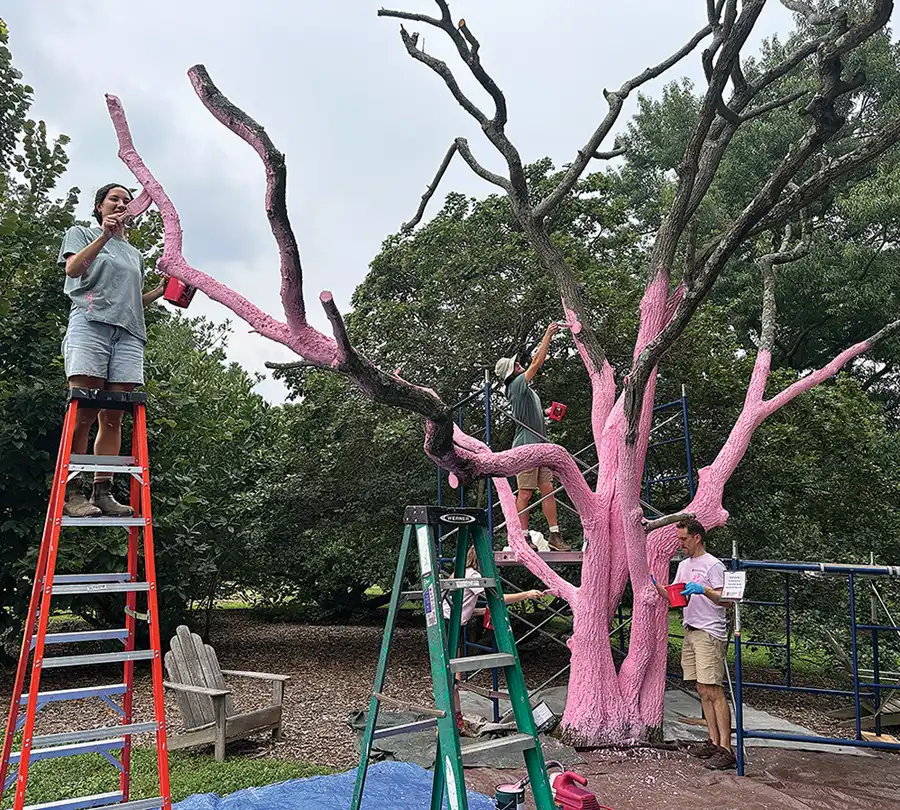Students paint a tree pink.