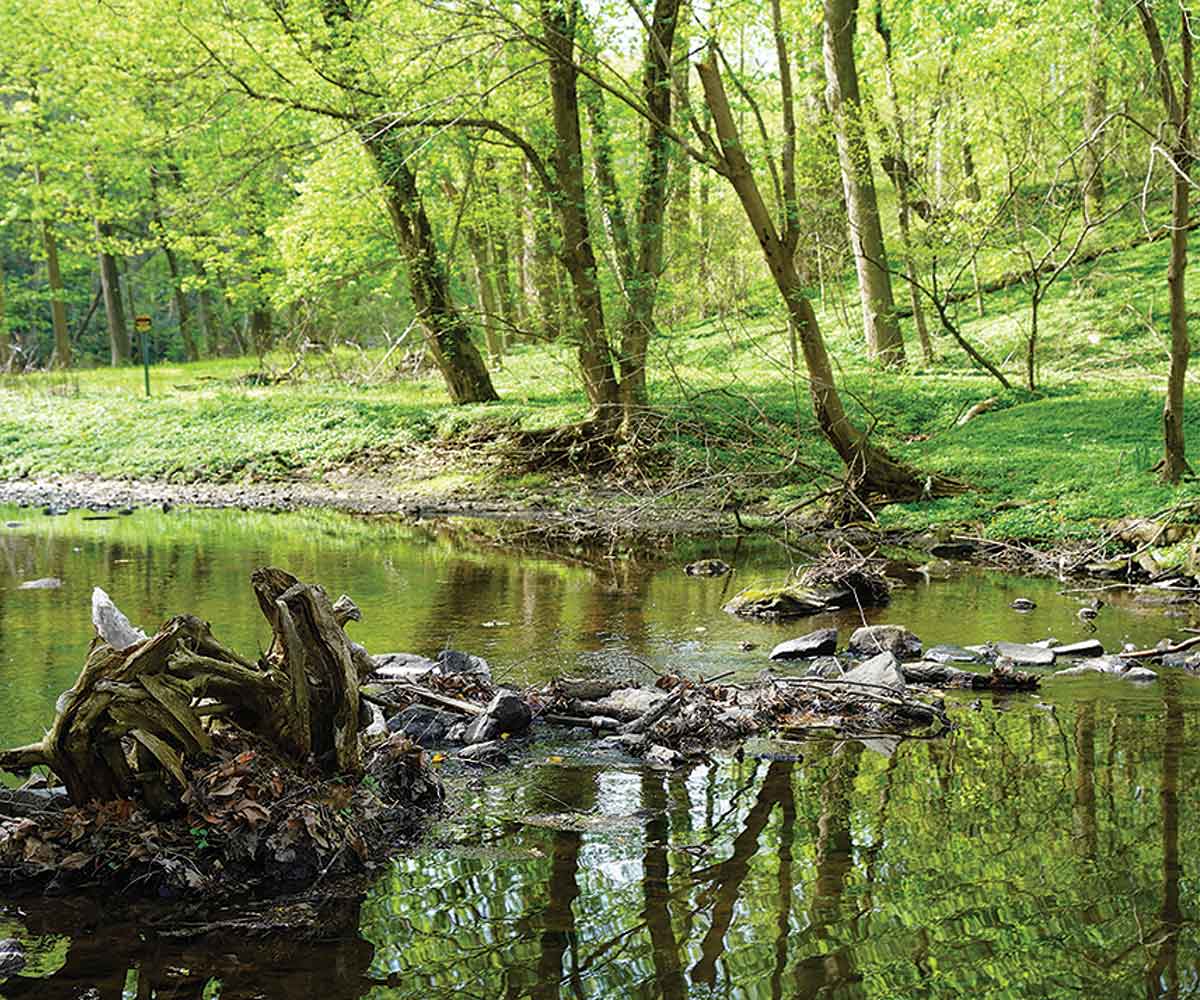 Crum Creek