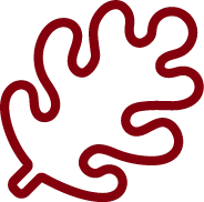 leaf icon