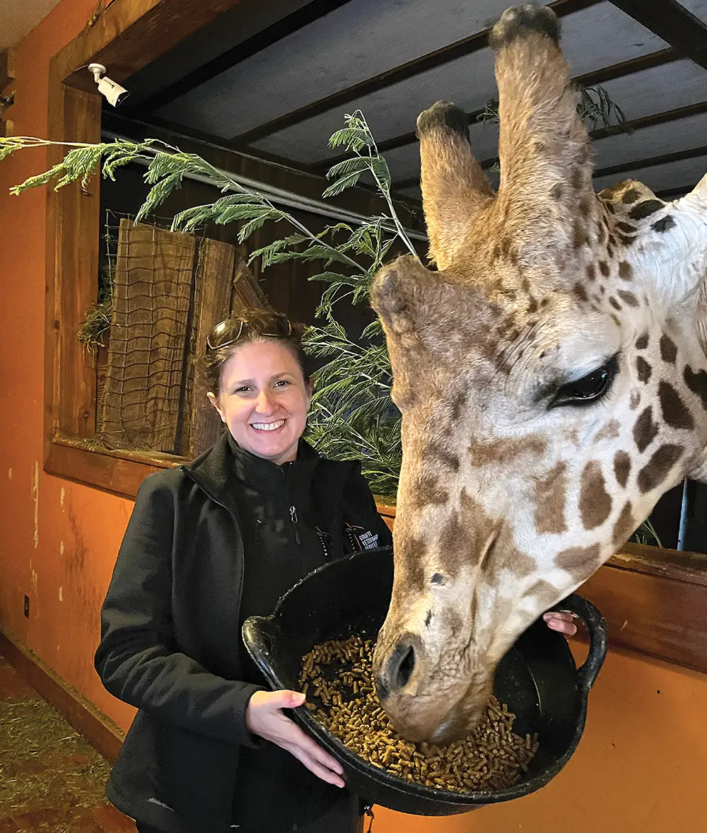 Liza Dadone ’97 feeds a giraffe from a large bowl of pellets.